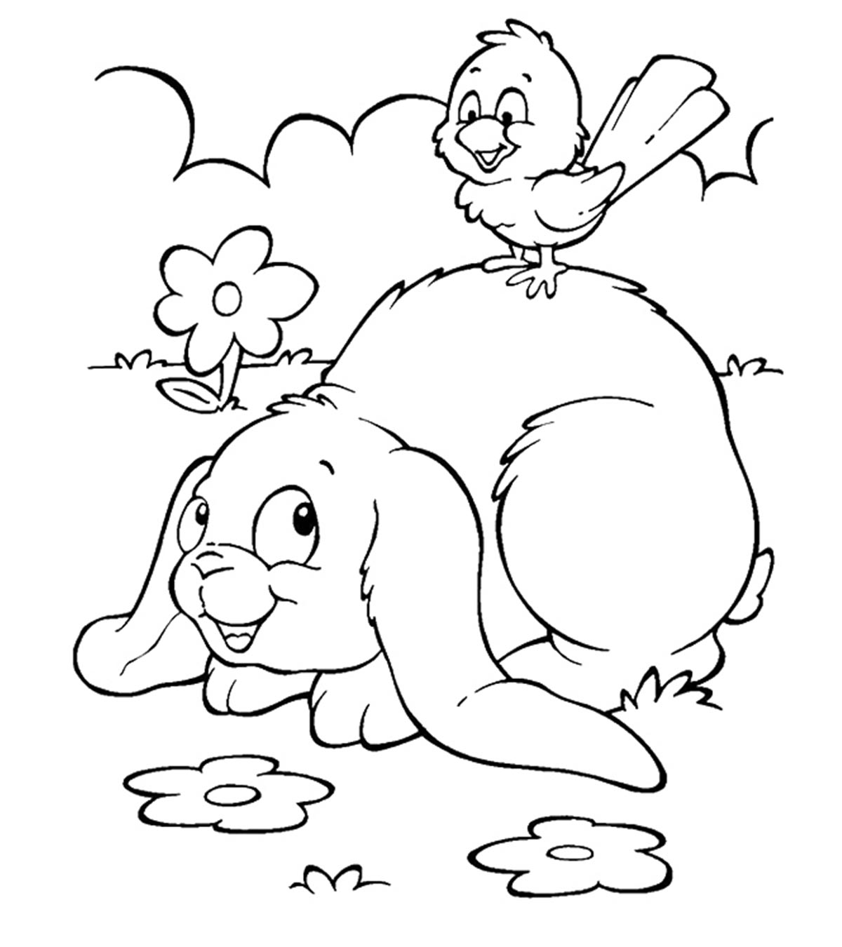 Petit lapin