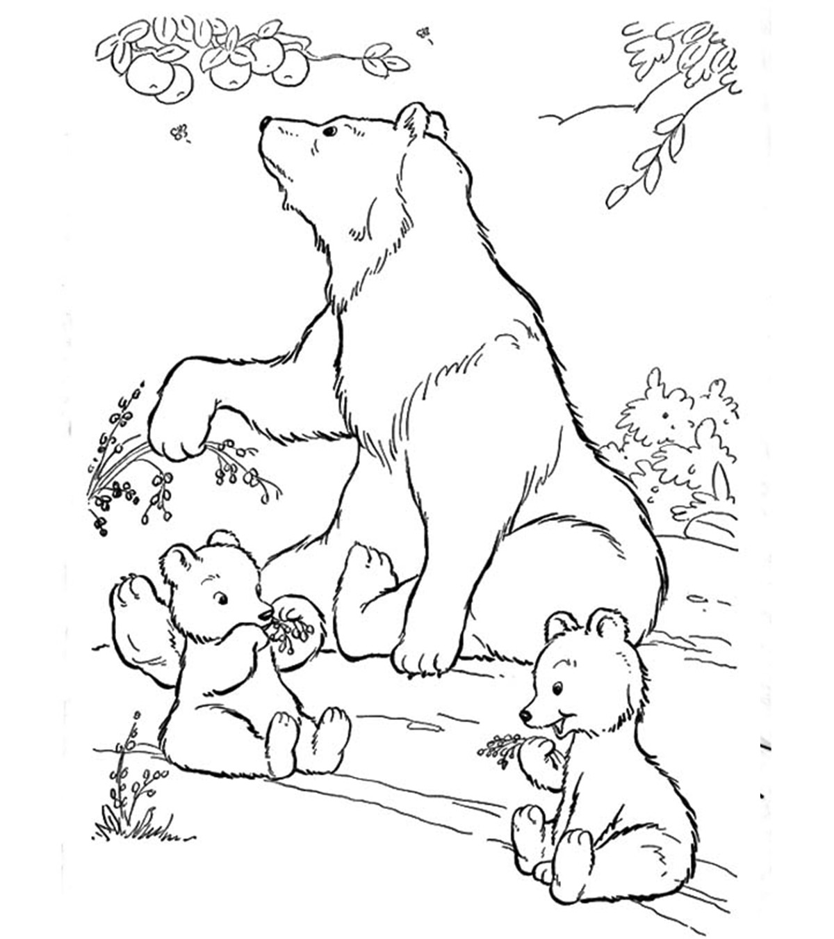 Ours polaire