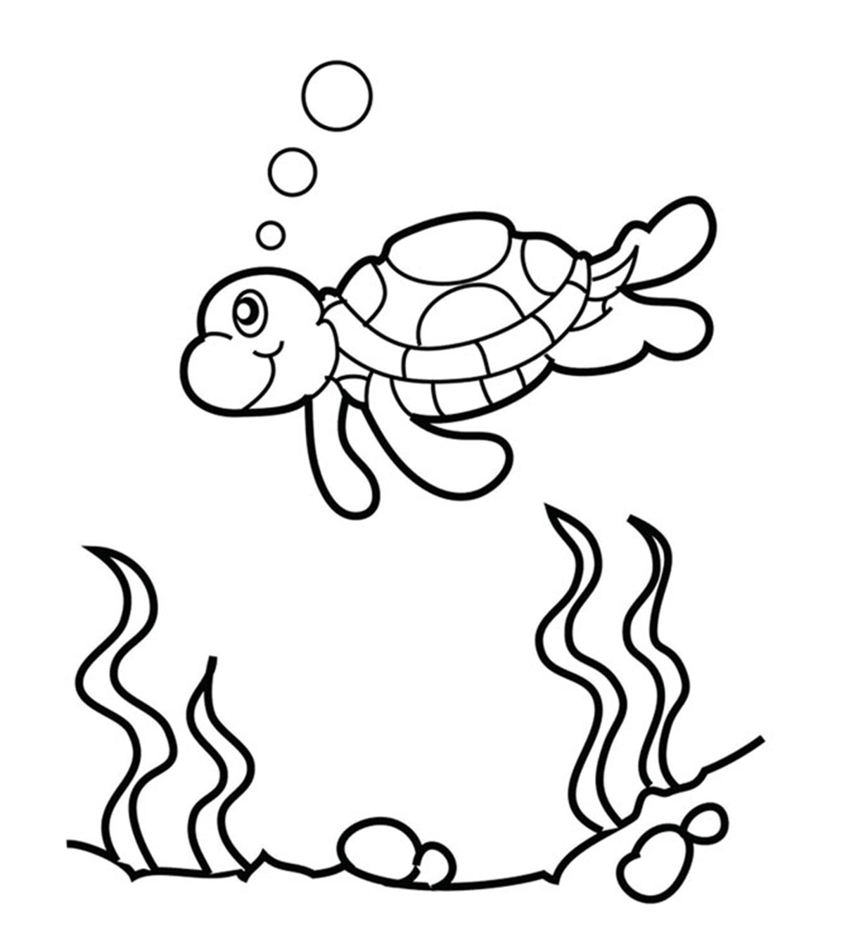 Tortue marine