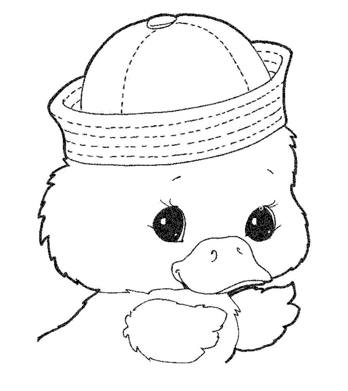 canard