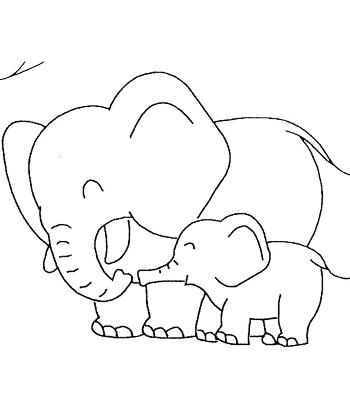 Animaux de la jungle