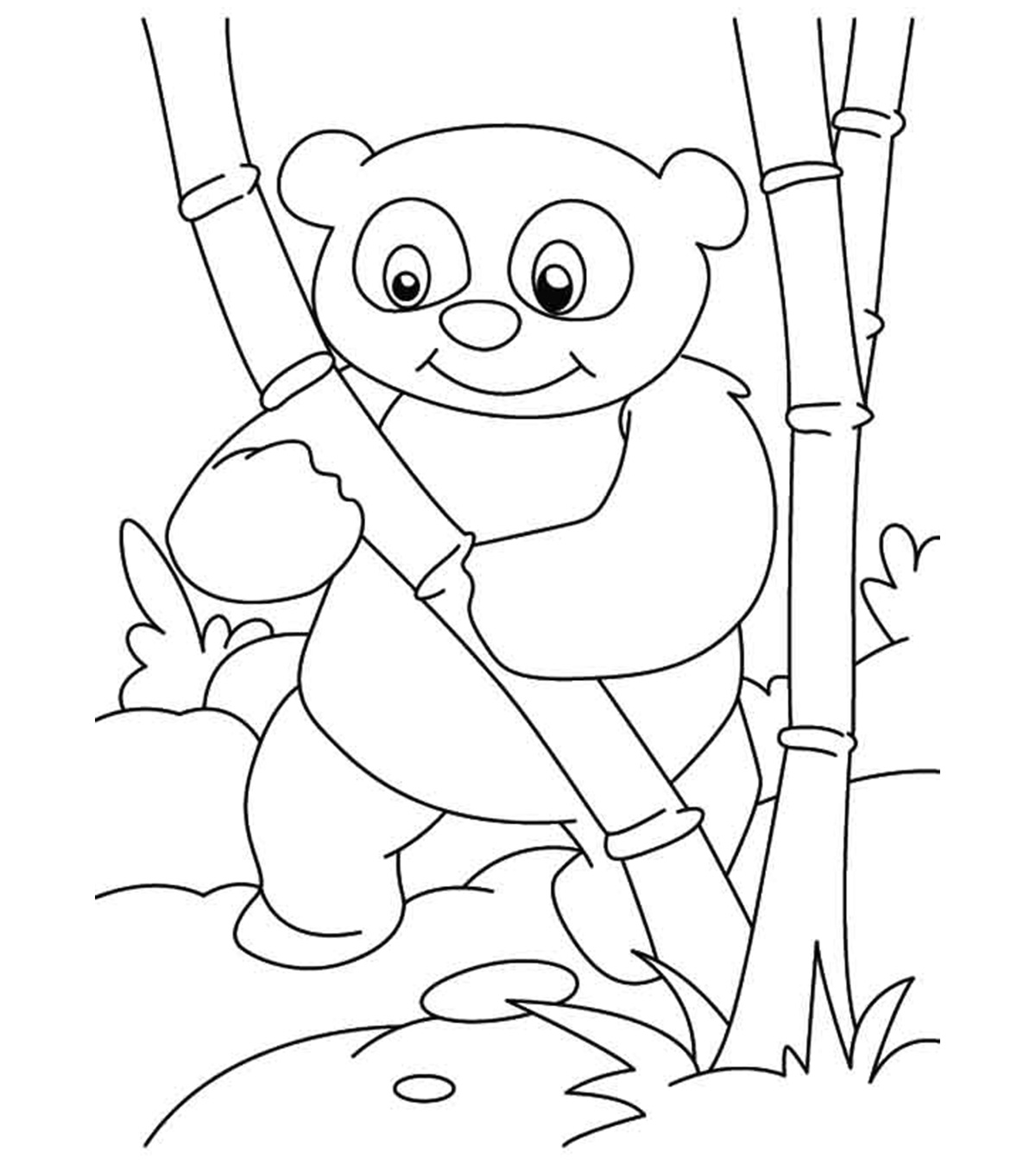 Ours panda