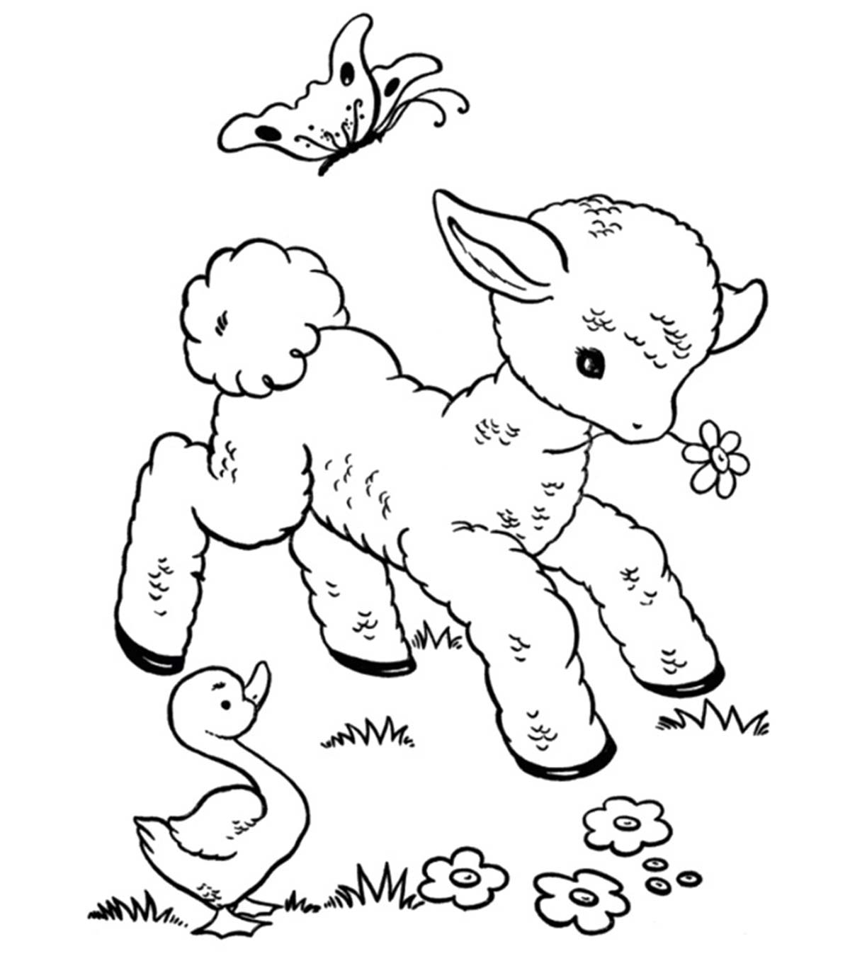 Mouton