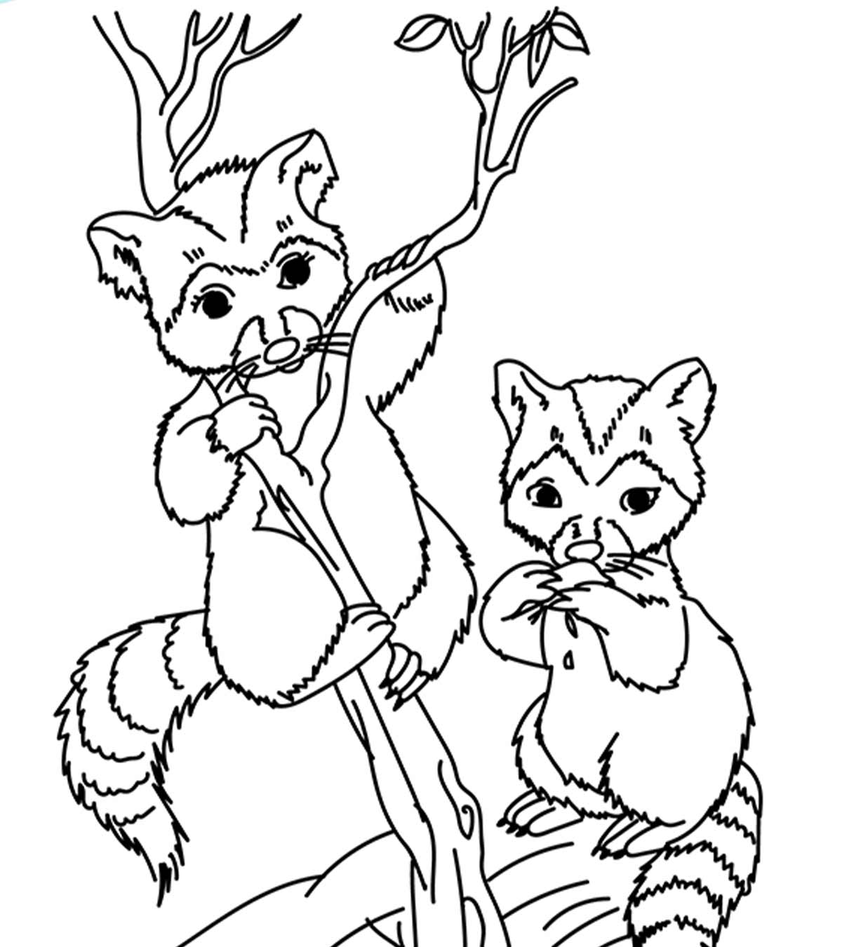 Animaux sauvages