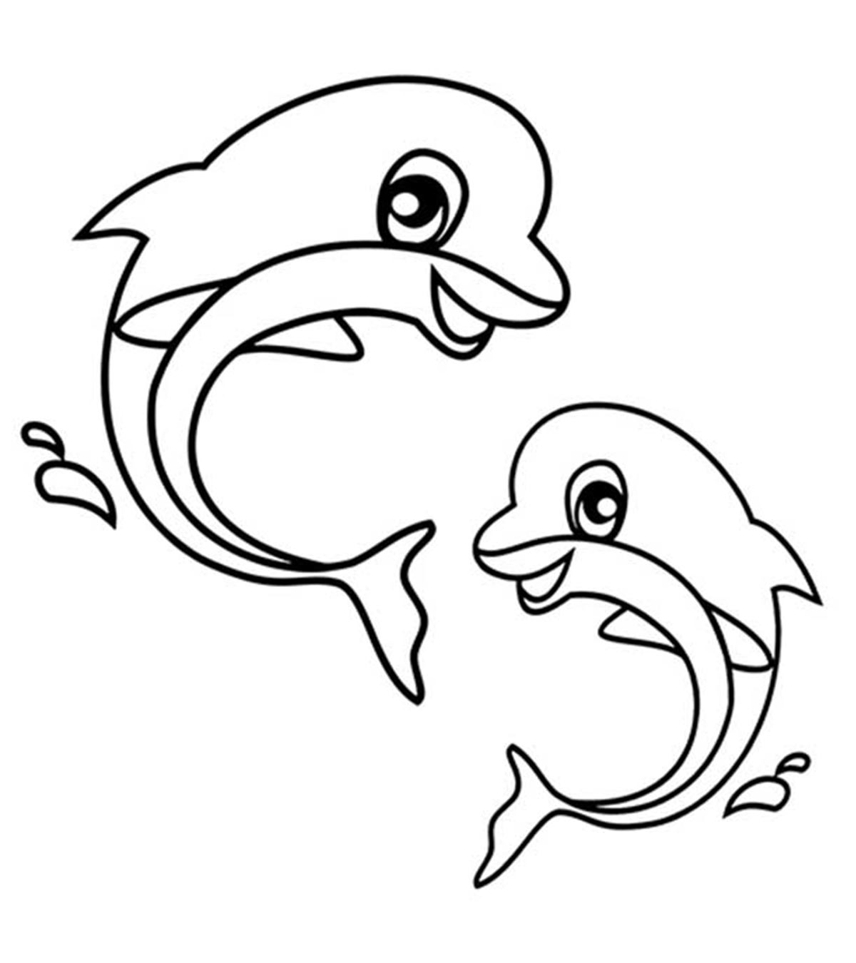 Animaux marins