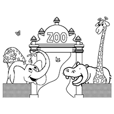 Animaux heureux