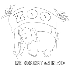 Coloriages Zoo