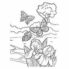 Coloriage papillons volant au printemps pour les enfants