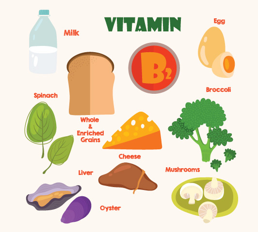 Complexe de vitamine B pendant la grossesse - Vitamine B2