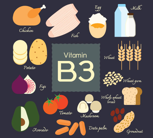 Complexe de vitamine B pendant la grossesse - Vitamine B3