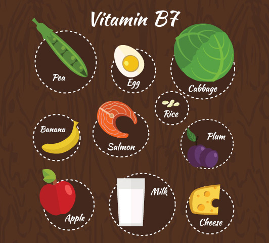 Complexe de vitamine B pendant la grossesse - Vitamine B7