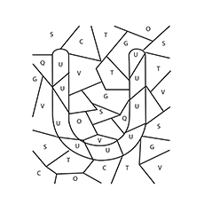 Le labyrinthe à colorier 