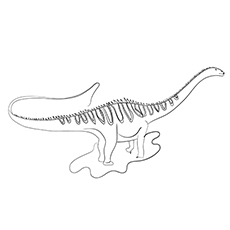 35 coloriages uniques de dinosaures que votre enfant adorera 67 Coloriage de dinosaure diplodocus