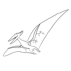 35 coloriages uniques de dinosaures que votre enfant adorera 70 Coloriage dinosaure pteranodon gratuit