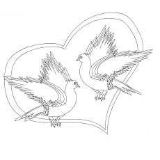 Pigeons de la Saint-Valentin