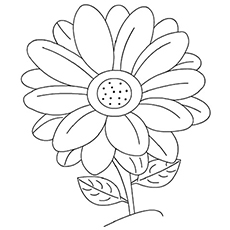10 belles pages à colorier de lis pour votre petite fille 59 Coloriages Daisy