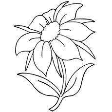 10 belles pages à colorier de lis pour votre petite fille 65 Coloriages Jasmine