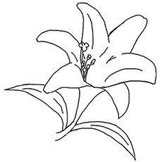 10 belles pages à colorier de lis pour votre petite fille 66 Coloriages Tee Lily