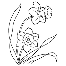 10 belles pages à colorier de lis pour votre petite fille 58 Coloriage - Jonquille