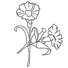 10 belles pages à colorier de lis pour votre petite fille 56 Coloriage Oeillet