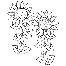 10 belles pages à colorier de lis pour votre petite fille 71 Coloriages de tournesol