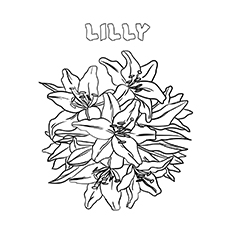 10 belles pages à colorier de lis pour votre petite fille 82 Coloriage Lilly