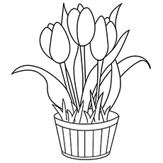 10 belles pages à colorier de lis pour votre petite fille 72 Coloriages de tulipes