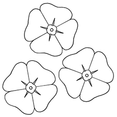 10 belles pages à colorier de lis pour votre petite fille 69 Coloriages Poppy