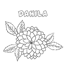 10 belles pages à colorier de lis pour votre petite fille 85 Coloriage Dahila