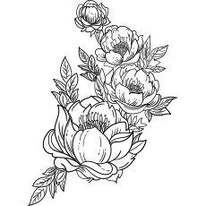 10 belles pages à colorier de lis pour votre petite fille 99 Fleur de pivoine