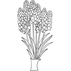 10 belles pages à colorier de lis pour votre petite fille 102 Type de fleurs