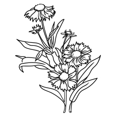10 belles pages à colorier de lis pour votre petite fille 93 Fleur de couverture