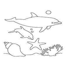20 meilleures pages à colorier de dauphins pour vos petits 36 Coloriages de maman dauphins avec son fils