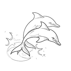 20 meilleures pages à colorier de dauphins pour vos petits 37 Feuille de coloriage Soaring Two Dolphin