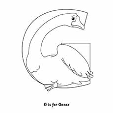 Un g est une oie