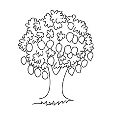 Les 25 meilleurs coloriages d'arbres pour vos petits 40 Coloriages gratuits à imprimer