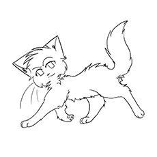 Chats guerriers mignons mais courageux