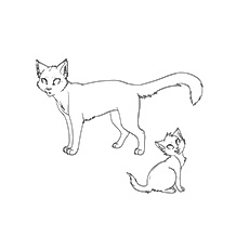 template_cat