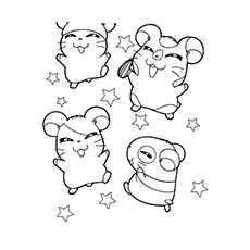 Hamsters avec étoiles