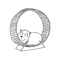 Hamster sur une roue de hamster