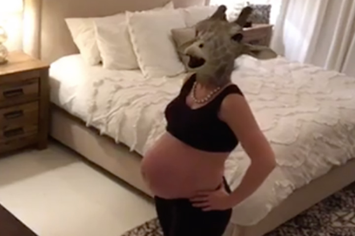 la girafe enceinte
