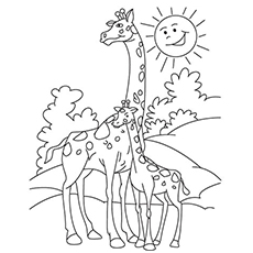 Que fait la girafe