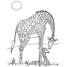 Coloriages Mère et Veau