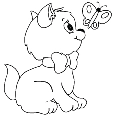 Coloriage petit chaton