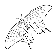 Feuille de coloriage de papillon machaon géant pour enfants