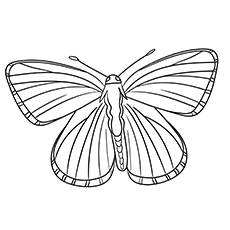 Coloriage de Lycaenidae papillon gratuit