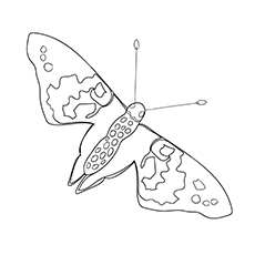 Images peintes de Lady Butterfly à colorier