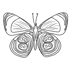 Coloriage de papillon 88