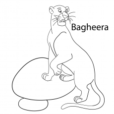 Bagheera