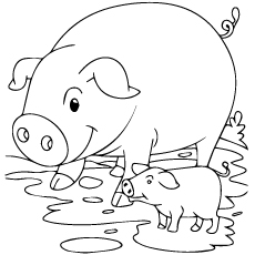 Les 20 meilleures pages de coloriage de porc que votre enfant adorera 24 Cochon et porcelet pour une impression couleur gratuite